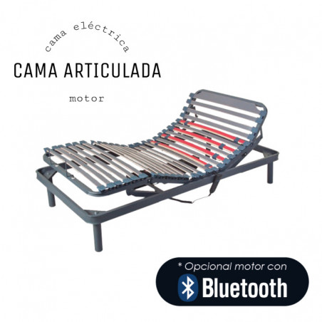 Cama articulada eléctrica Tecnoluxe