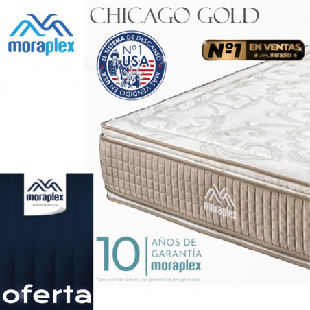 Chicago Gold Oferta